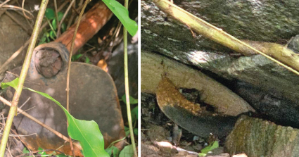 සඟවා තිබූ කැත්ත හා උදැල්ල